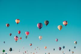 A bunch of ballons flying.