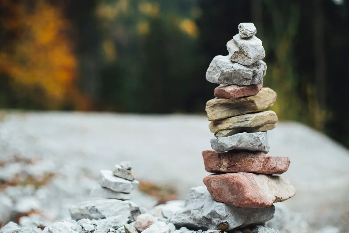 A pile of rocks growing.