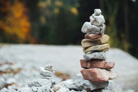 A pile of rocks growing.