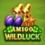 Amigo Wild Luck