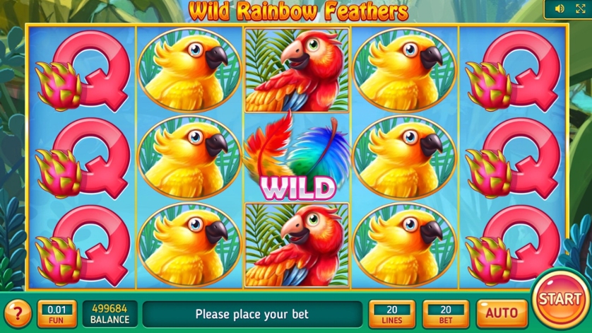 Wild Rainbow Feathers.jpg