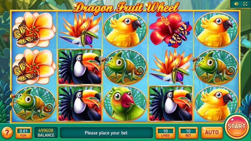 Dragon Fruit Wheel.jpg