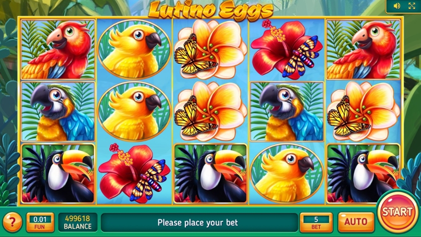 Lutino Eggs.jpg