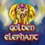 Golden Elephant
