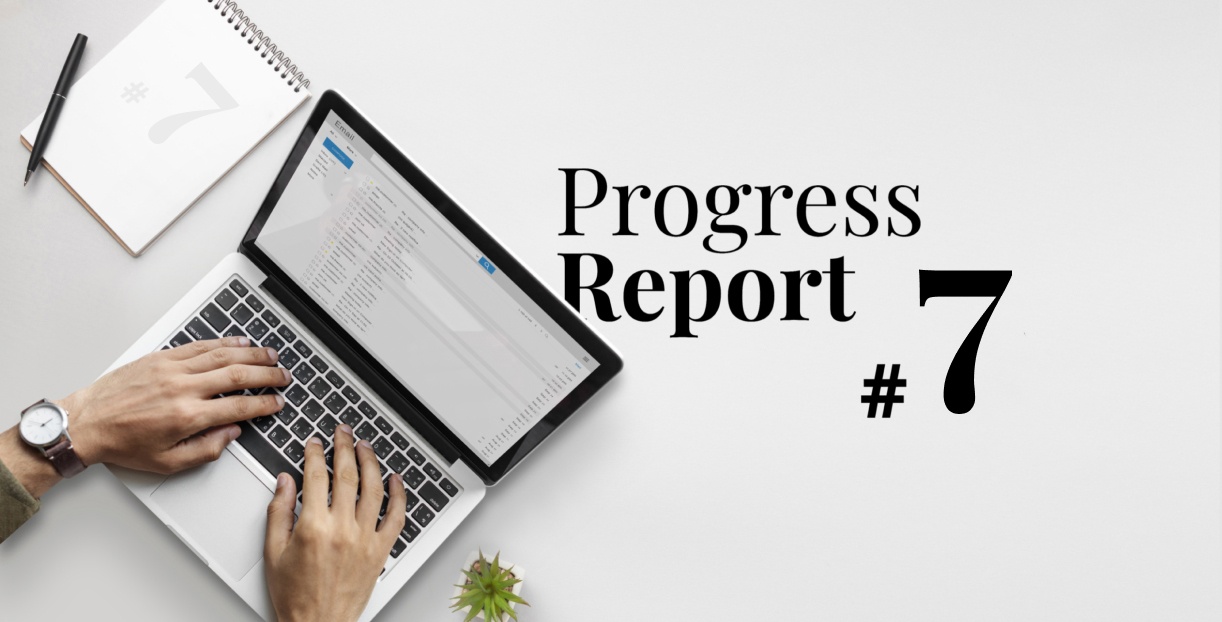 Progress Report 7