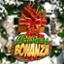 Christmas Bonanza