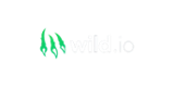 Wild.io Casino