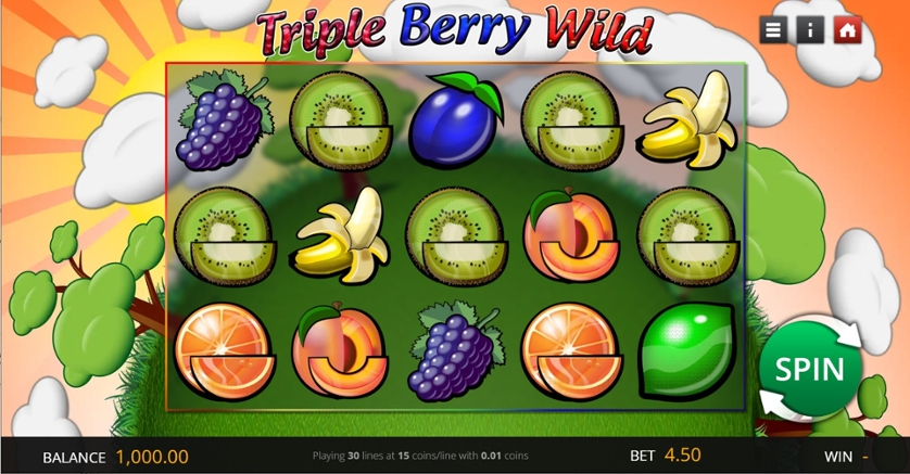 Triple Berry Wild.jpg