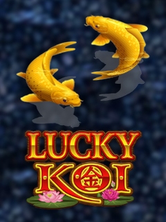 Lucky Koi