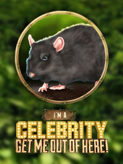 I'm a Celebrity Get Me out of Here