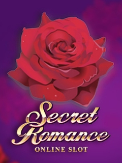 Secret Romance
