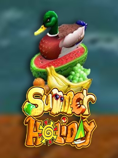 Summer Holiday