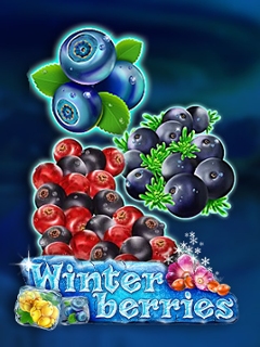 Winter Berries
