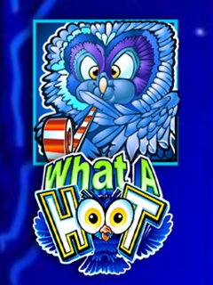 What a Hoot
