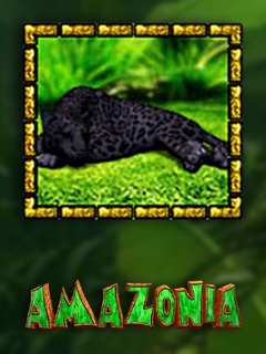 Amazonia