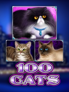 100 Cats