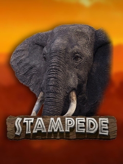Stampede