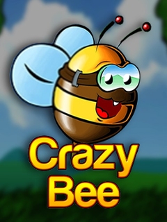 Crazy Bee