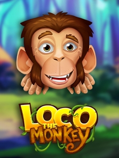 Loco the Monkey