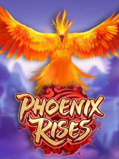 Phoenix Rises