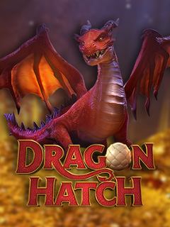 Dragon Hatch