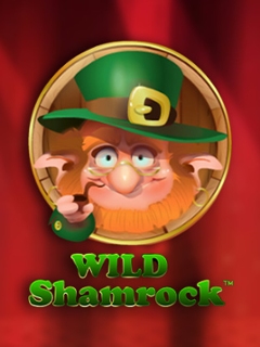 Wild Shamrock