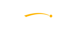 Netwin Casino Logo