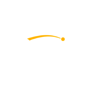 Netwin Casino Logo