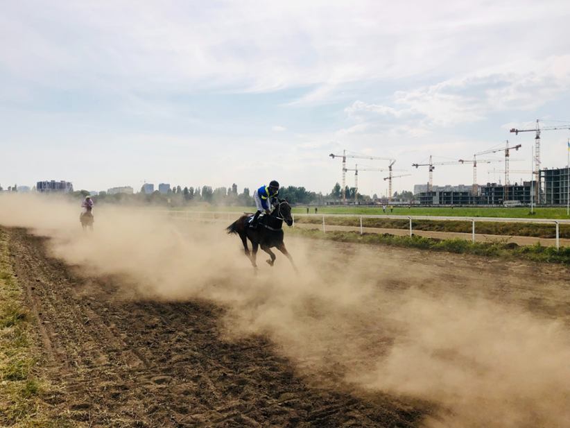 A horse racing through a track.