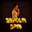 Shaolin Spin
