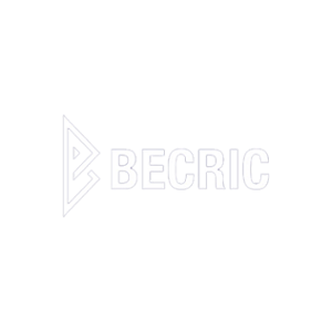 BeCric Casino Logo