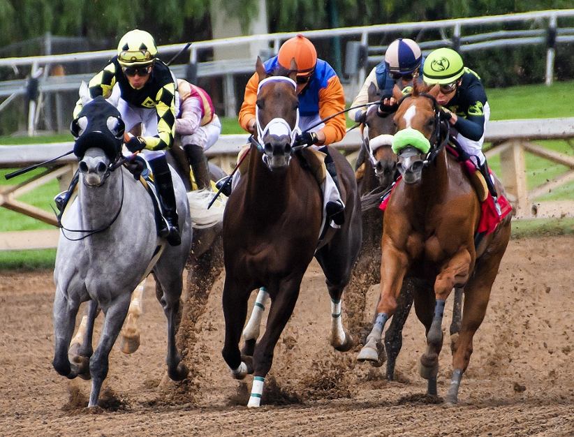 a-horse-race