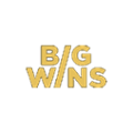 Big Wins Casino Logo