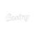 Casiny Casino Logo