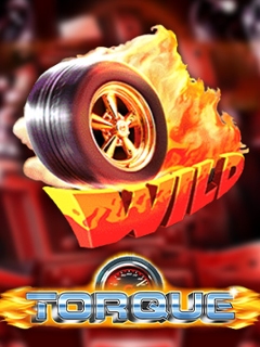 Torque