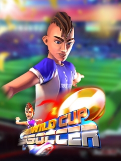 Wild Cup Soccer