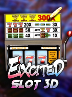 Excited Slot 3D