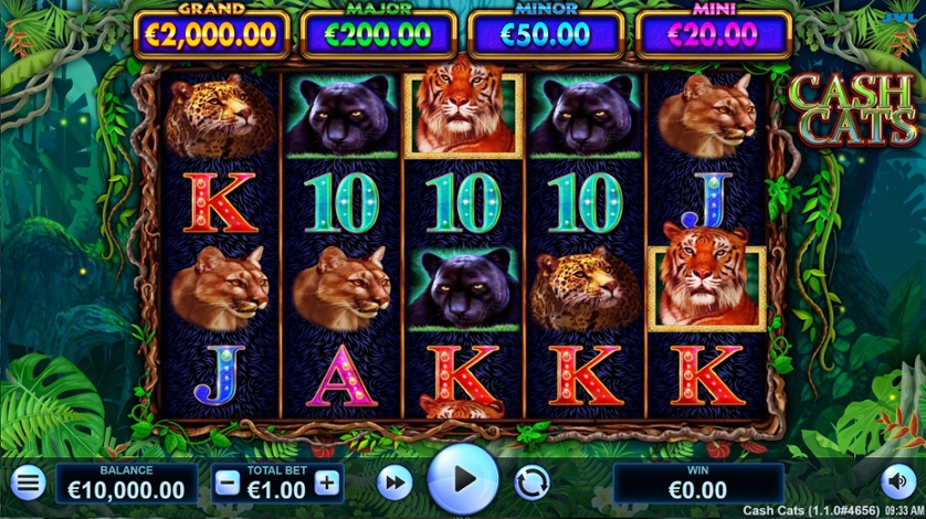Cash Cats.jpg