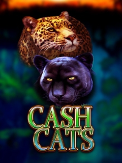 Cash Cats