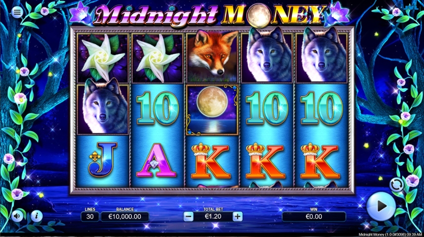 Midnight Money.jpg