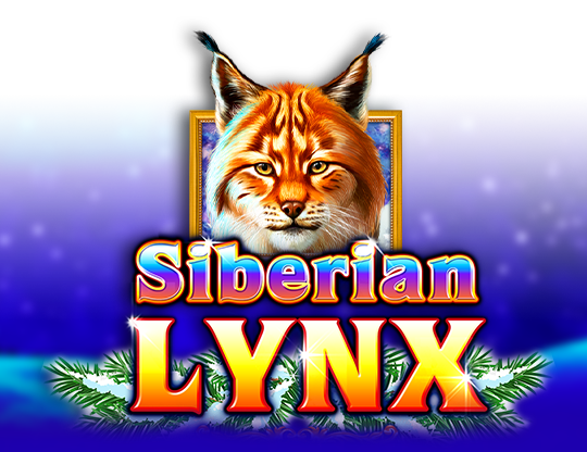 Siberian Lynx