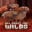 All About the Wilds