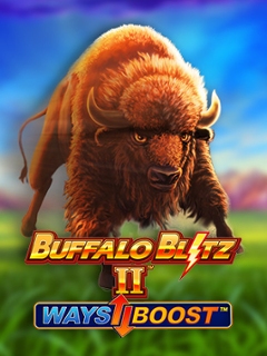Buffalo Blitz 2