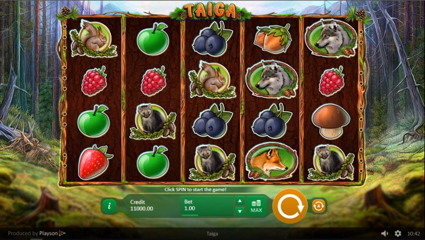 Slots bonanza for computer