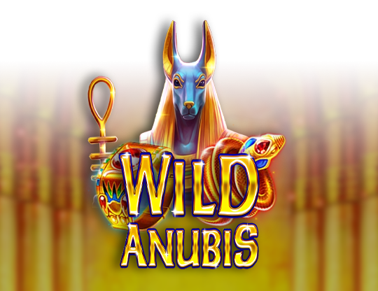 Wild Anubis