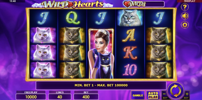 Wild Hearts: How to Play Online