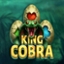 King Cobra