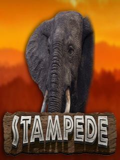 Stampede