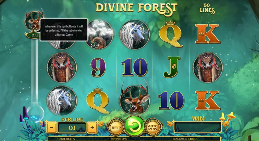 Divine Forest.jpg