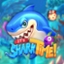 It's Shark Time